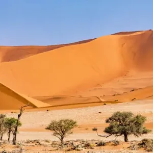 Dunes in the Namib Naukluft Park in Namibia