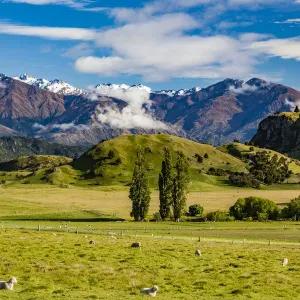 Farmland near Lake Wanaka in Otago, New Zealand