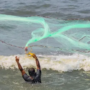 A fisherman casting his net at Fort Kochi in Kerala, India A fisherman casting his net at Fort Kochi in Kerala, India