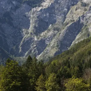 Lake Bohinj, Slovenia