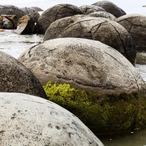 The Moeriki Boulders at Moeriki in Otago, New Zealand