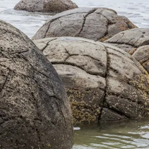 The Moeriki Boulders at Moeriki in Otago, New Zealand