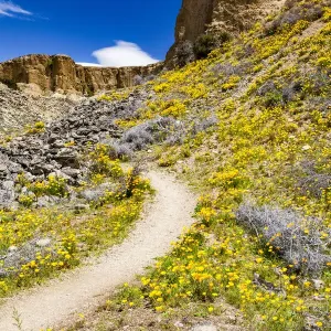 A path through the countryside near Bannockburn in Otago, New Zealand