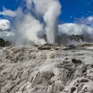 The Pohutu Geyser at Te Puia in Roturua, Bay of Plenty, in New Zealand