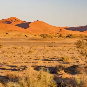 Sand dunes in Namib-Naukluft National Park, Namibia