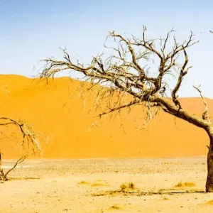A tall sand dune in Namib-Naukluft National Park, Namibia
