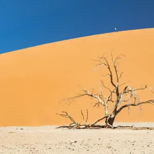 A tall sand dune in Namib-Naukluft National Park, Namibia