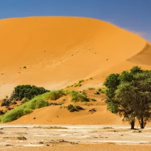 A tall sand dune in Namib-Naukluft National Park, Namibia