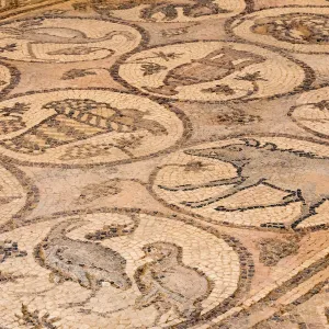 Title The Byzantine church mosaics at Petra, Jordan