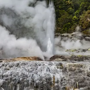 Vapour rising from an active volcanic area at Te Puia in Roturua, Bay of Plenty, in New Zealand