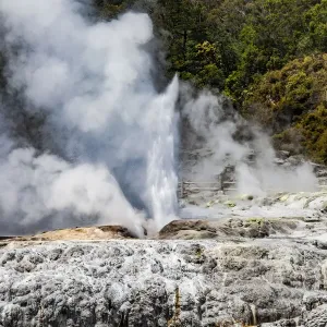 Vapour rising from an active volcanic area at Te Puia in Roturua, Bay of Plenty, in New Zealand