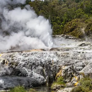 Vapour rising from an active volcanic area at Te Puia in Roturua, Bay of Plenty, in New Zealand