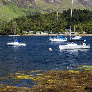 Yachts in Loch Leven, Scotland