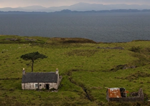 Nature Prints: An abondoned farmhouse in Applecross, Scotland