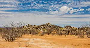 Plant Prints: Africa Damaraland Namibia desert geology granite