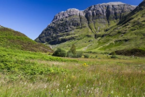 Hill Prints: Aonach Dubh, Glen Coe, Scotland