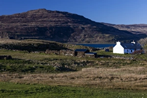 Images Dated 2012 April: Ardtun, Mull, Scotland