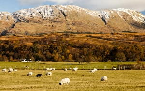 An autumn scene at Cuil Bay, Highland Region, Scotland
