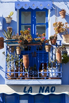 Flowers Prints: Balcony, Pe├▒├¡scola, Spain