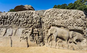 India Prints: A bas relief carving in granite at Mamallapuram in Tamil Nadu, India