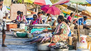 India Prints: The beach at Vizhinjam near Kovalam where the fishing boats land their catches