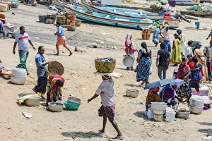 India Prints: The beach at Vizhinjam near Kovalam where the fishing boats land their catches