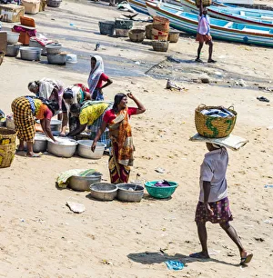 India Prints: The beach at Vizhinjam near Kovalam where the fishing boats land their catches