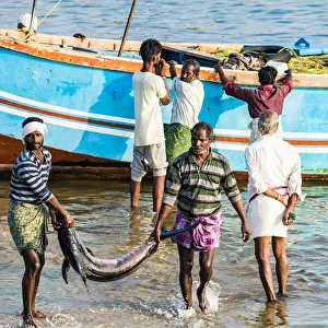 India Prints: The beach at Vizhinjam near Kovalam where the fishing boats land their catches