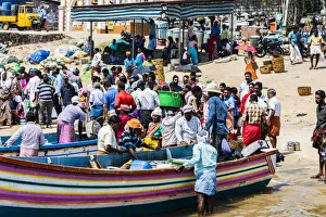 India Prints: The beach at Vizhinjam near Kovalam where the fishing boats land their catches