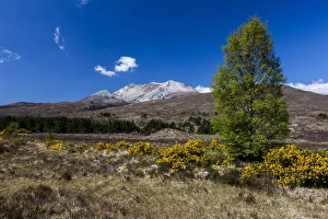 Mountains Prints: Beinn Eighe in Torridon, Scotland