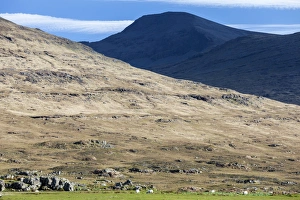 Images Dated 2012: Ben More, Mull, Scotland