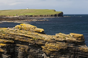 Images Dated 2010: Brough of Birsay in Orkney, Scotland