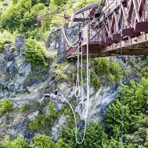 : A bungee jumper at the River Kawarau in Otago, New Zealand
