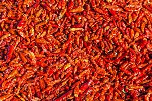 Food Prints: Chillies on sale at Les Saintes Maries de la Mer in France