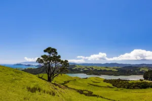 : Coastal scenery at Manaia in Waikato, New Zealand