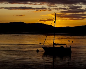 Images Dated 2011: Connel, Argyll & Bute, Scotland