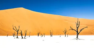 Namibia Prints: Dead trees bside the sand dunes at Sossvlei in Namib-Naukluft National Park, Namibia
