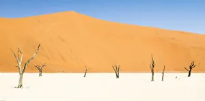 Dead trees below the dunes in Deadvlei in Namibia