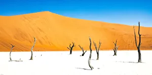 Namibia Prints: Dead trees below the dunes in Deadvlei in Namibia