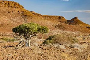 Namibia Prints: Desert scenery in Damaraland, Namibia