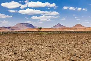 Namibia Prints: Desert scenery in Damaraland, Namibia