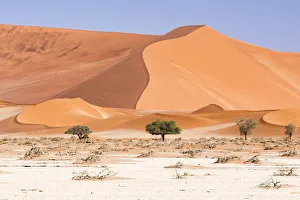 Trending: Dunes in the Namib Naukluft Park in Namibia