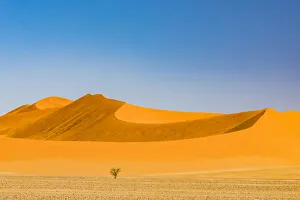 Trending: Dunes in the Namib Naukluft Park in Namibia