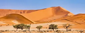 Namibia Prints: Dunes in the Namib Naukluft Park in Namibia