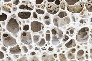 Sandstone Prints: An eroded cliff-face at Elgol in Skye, Scotland