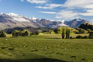 Editor's Picks: Farmland near Lake Wanaka in Otago, New Zealand