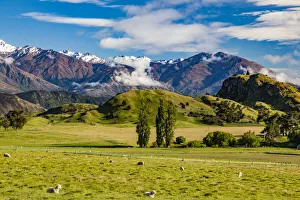 : Farmland near Lake Wanaka in Otago, New Zealand