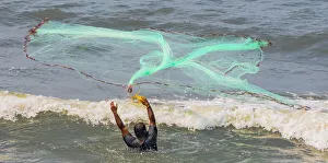 India Prints: A fisherman casting his net at Fort Kochi in Kerala, India