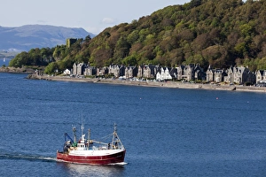 Images Dated 2011: A fishing boat at Oban in Argyll and Bute, Scotland