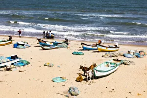 India Prints: Fishing boats on the beach at Mamallapuram in Tamil Nadu, India